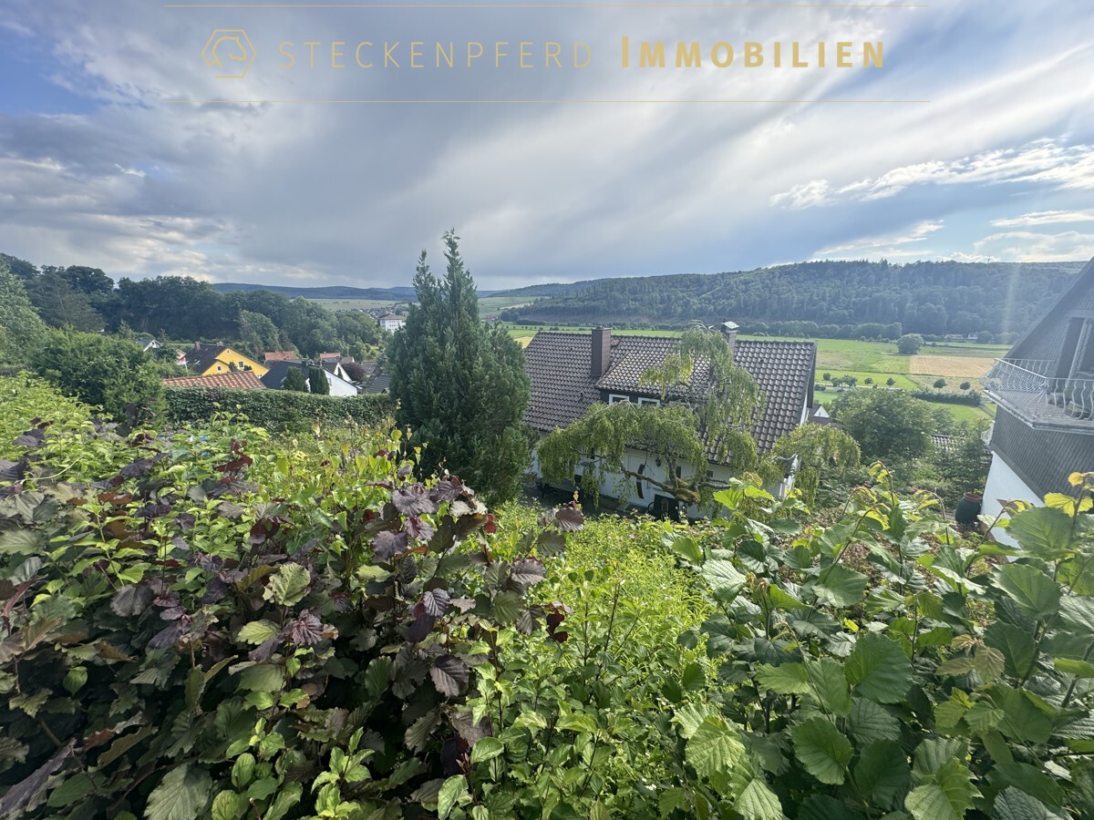 Traumaussichten