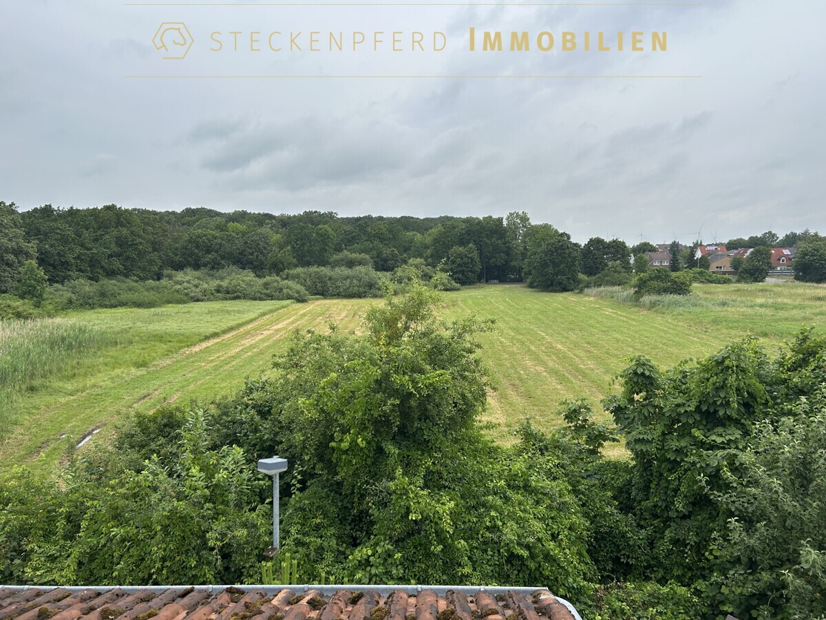 Ausblick