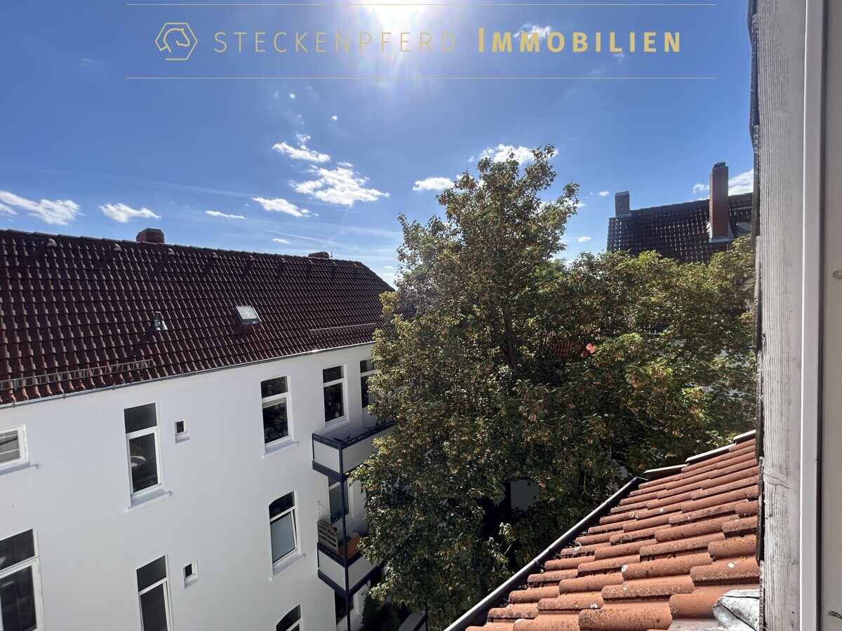 Ausblick Fenster Raum 3