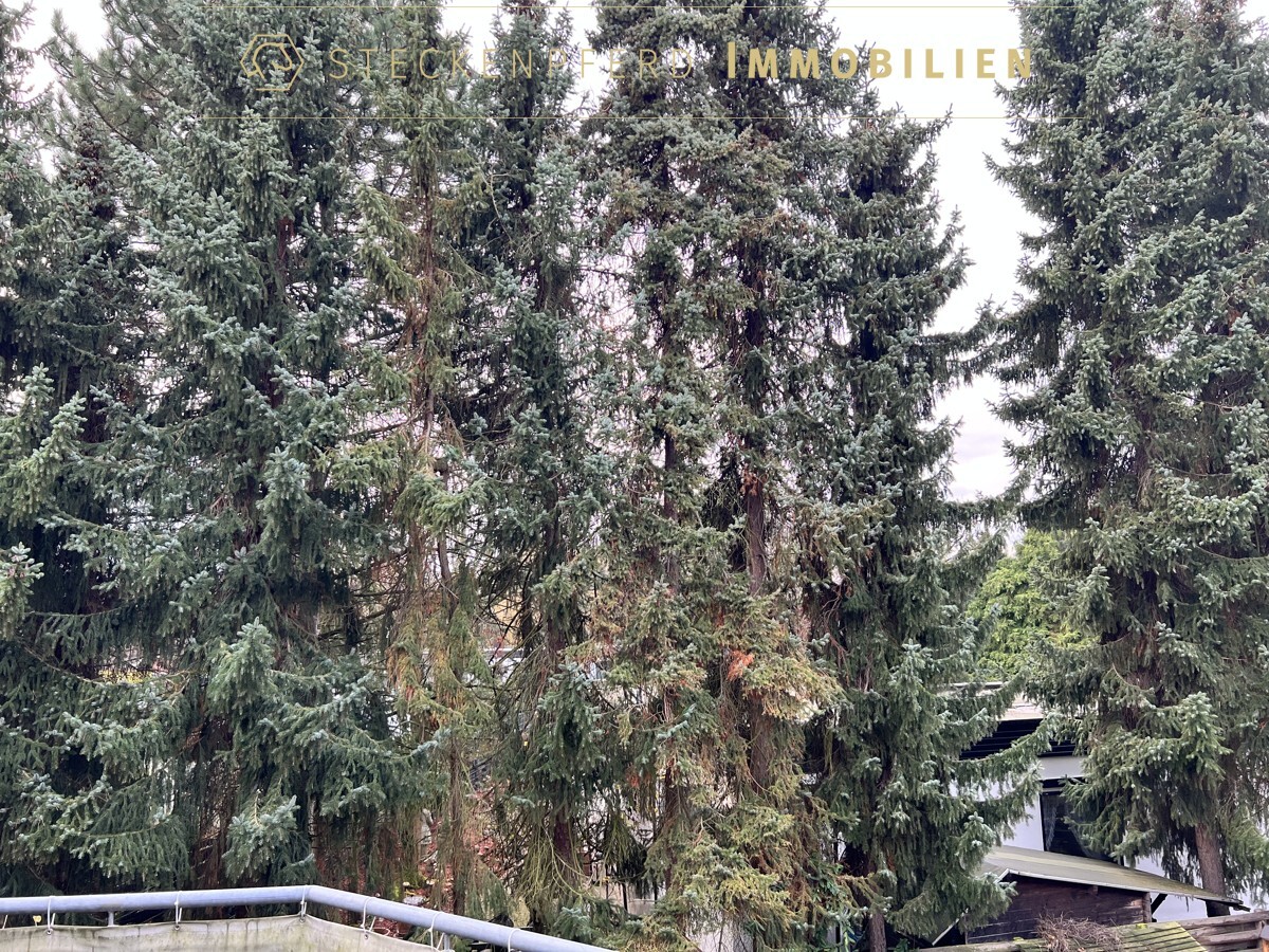Ausblick